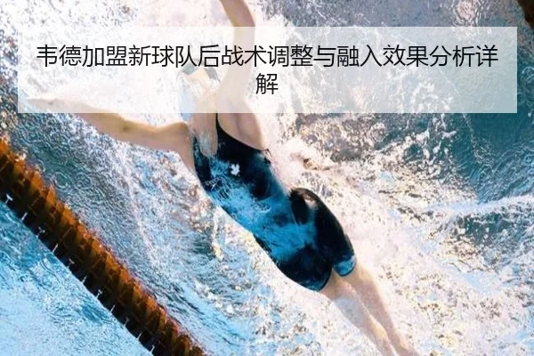 韦德加盟新球队后战术调整与融入效果分析详解