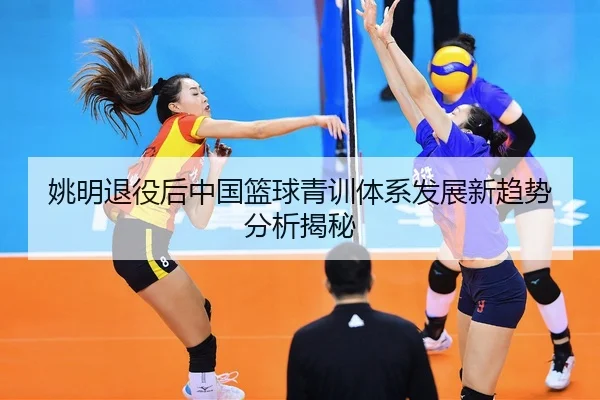 姚明退役后中国篮球青训体系发展新趋势分析揭秘
